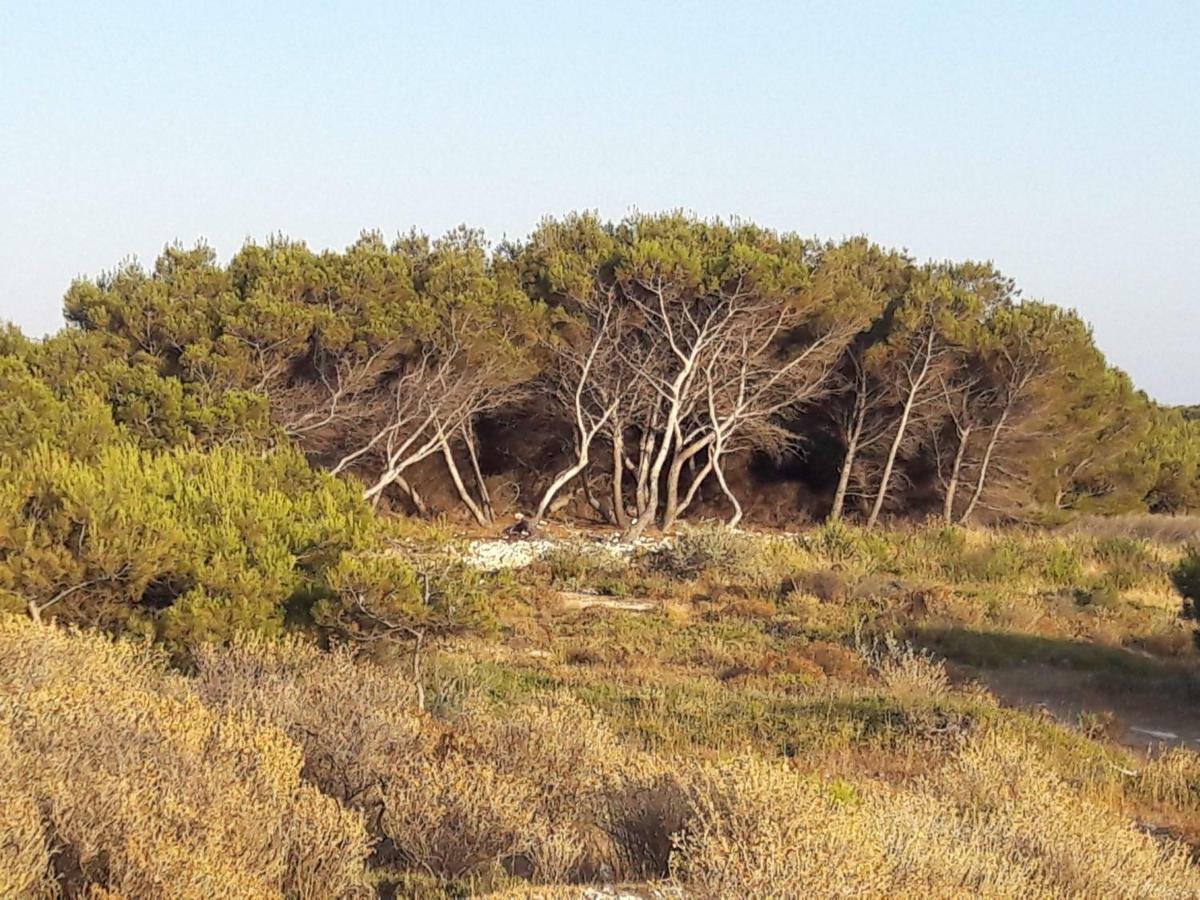 Hébergements sur la côte bleue bord de mer Martigues Esterno foto